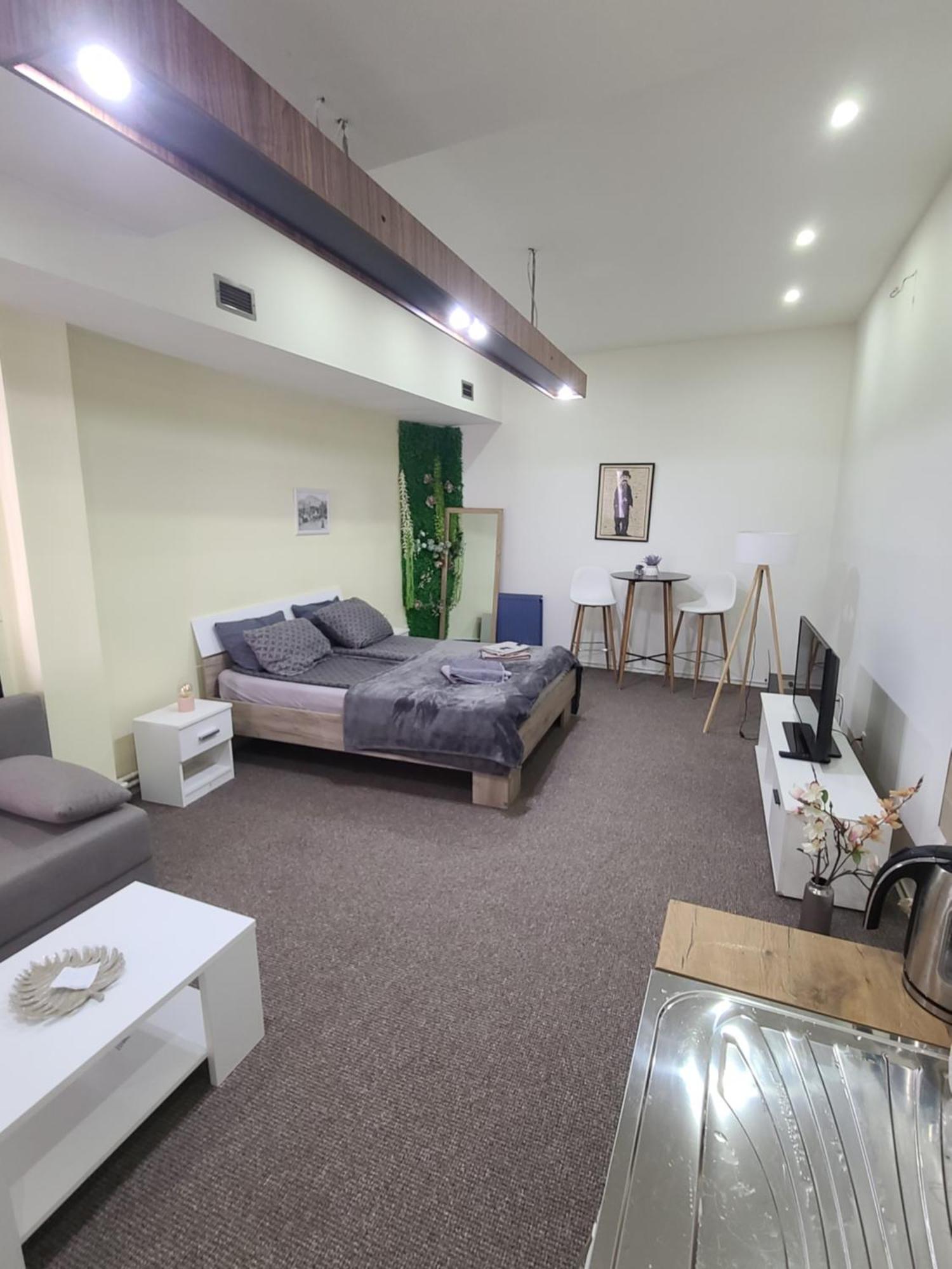 Stari Zajecar Apartments Bilik gambar